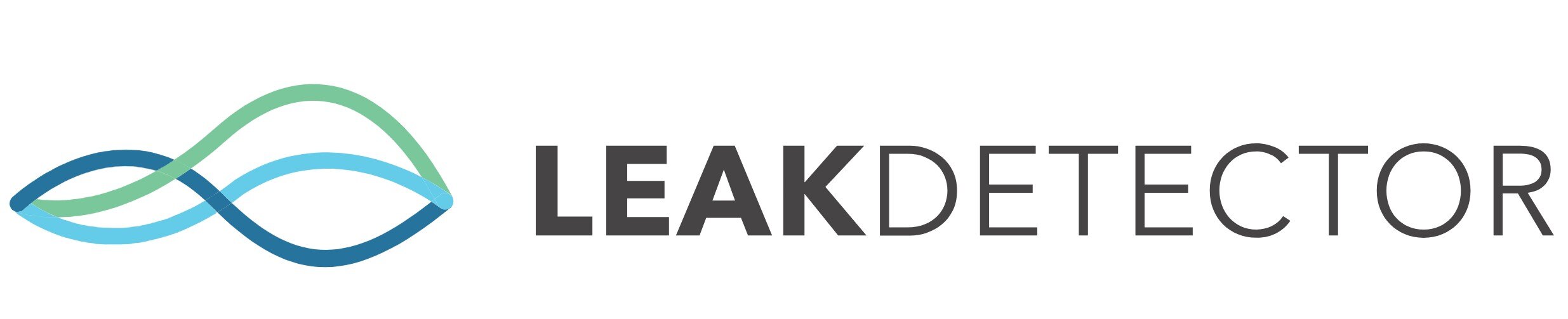 Leak Detector logo jpg